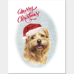 Norfolk Terrier Merry Christmas Santa Dog Posters and Art